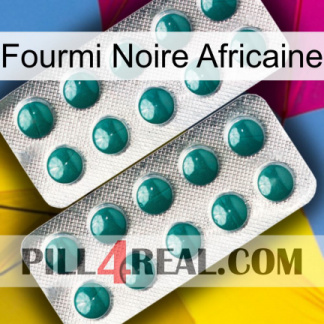 African Black Ant dapoxetine2